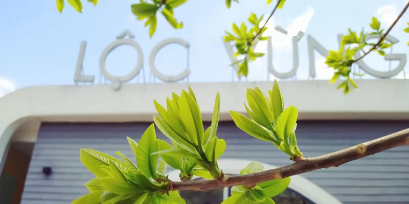Quán cafe, trà sữa view đẹp ở Sóc Trăng - Lộc Vừng Garden Coffee